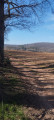 Chemin agricole