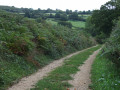 Chemin agricole