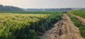 Chemin agricole