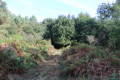 Chemin après Cartujac