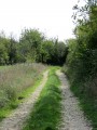 Chemin après la route D21