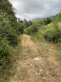 Chemin après portique en bois