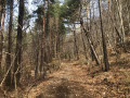 Chemin après pylône