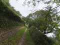Chemin arrivant à "L'Epine"