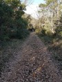 chemin assez caillouteux chemin assez caillouteux