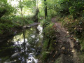 Chemin au bord du Cens