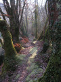 Chemin au-dessus du ruisseau Chemin au-dessus du ruisseau