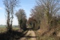 Chemin avant la Rousselière
