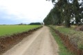 Chemin blanc à l'approche de Malassis et de l'Ombrelle