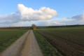 Chemin blanc