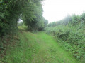 Sentier de petit bois à Étroeungt