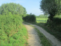 Chemin bocager Ruelle du Cruquet
