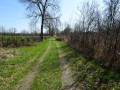 Chemin bocager