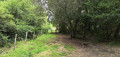 Chemin bordant le lac