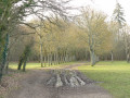 Chemin bordé d'arbres