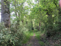 Chemin bordé de blanc