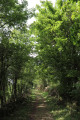 Chemin bordé de murets près de Beauchapeau