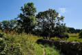 Chemin bordé de pierres