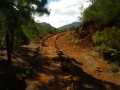 Chemin bordé de pierres