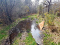 Chemin boueux et humide