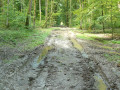 Chemin boueux