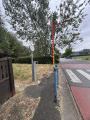 Chemin buccolique