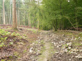 Chemin caillouteux