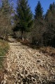 Chemin caillouteux