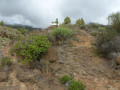 Chemin caillouteux
