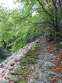 Chemin caladé