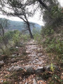 Chemin caladé