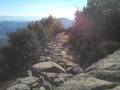 Boucle de la Cham du Cros depuis la Croix de Millet