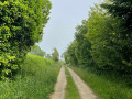 A quiet path