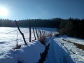 Chemin campagnard