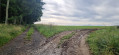 Chemin campagnard