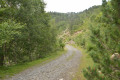 Chemin carrossable vers le refuge de la Glère