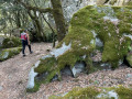 Chemin comme dans un jardin