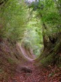 Chemin creux arrivant aux Feuillets