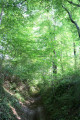 Chemin creux du côté de Palluau-sur-Indre Chemin creux du côté de Palluau-sur-Indre