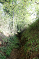 Chemin creux près de la Grange Dauphin