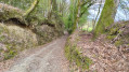 Chemin creux