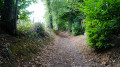 chemin creux