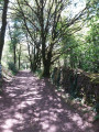 chemin creux