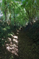 chemin creux