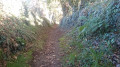 Chemin Creux
