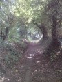 Chemin creux