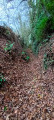 Chemin creux