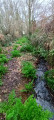 chemin creux