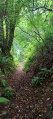 Chemin creux