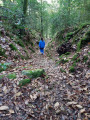 chemin creux